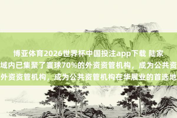 博亚体育2026世界杯中国投注app下载 陆家嘴解决局副局长梁庆：区域内已集聚了寰球70%的外资资管机构，成为公共资管机构在华展业的首选地