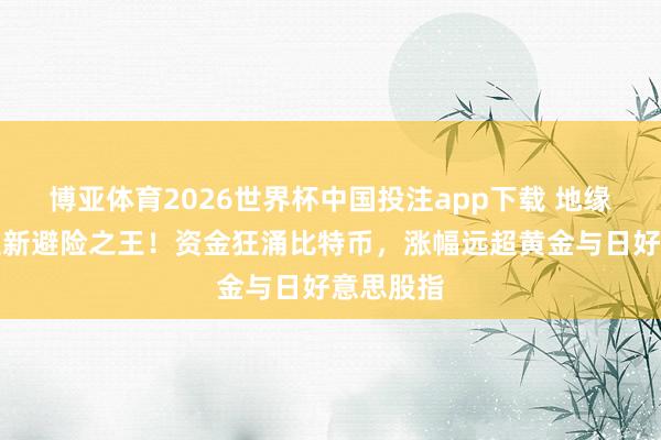 博亚体育2026世界杯中国投注app下载 地缘危境催生新避险之王!资金狂涌比特币,涨幅远超黄金与日好意思股指