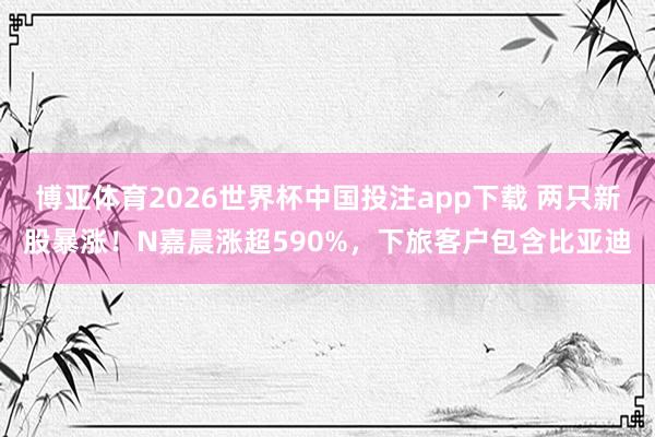 博亚体育2026世界杯中国投注app下载 两只新股暴涨!N嘉晨涨超590%,下旅客户包含比亚迪