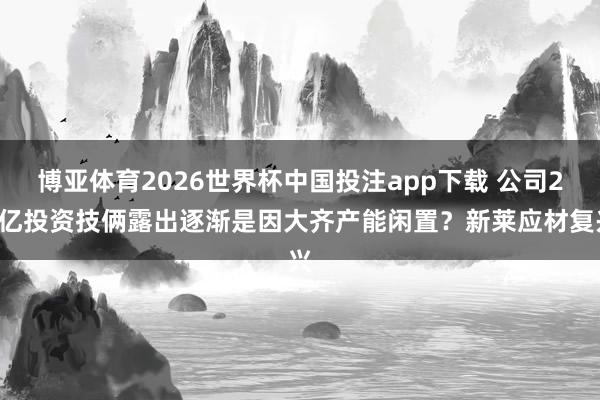 博亚体育2026世界杯中国投注app下载 公司20亿投资技俩露出逐渐是因大齐产能闲置？新莱应材复兴