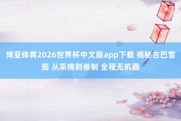 博亚体育2026世界杯中文版app下载 揭秘古巴雪茄 从采摘到卷制 全程无机器