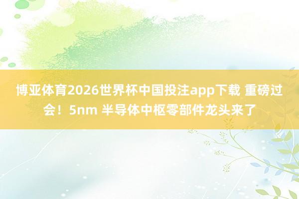 博亚体育2026世界杯中国投注app下载 重磅过会！5nm 半导体中枢零部件龙头来了
