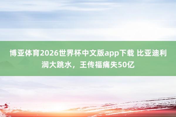 博亚体育2026世界杯中文版app下载 比亚迪利润大跳水，王传福痛失50亿