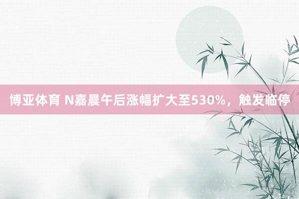 博亚体育 N嘉晨午后涨幅扩大至530%，触发临停
