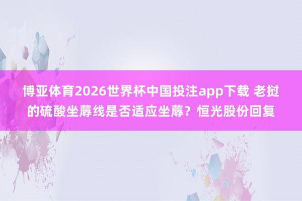 博亚体育2026世界杯中国投注app下载 老挝的硫酸坐蓐线是否适应坐蓐?恒光股份回复