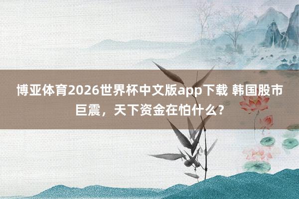 博亚体育2026世界杯中文版app下载 韩国股市巨震,天下资金在怕什么?