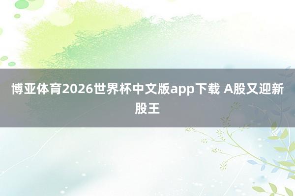 博亚体育2026世界杯中文版app下载 A股又迎新股王