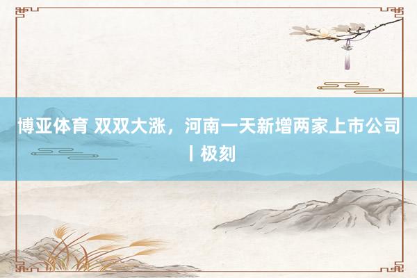 博亚体育 双双大涨，河南一天新增两家上市公司丨极刻
