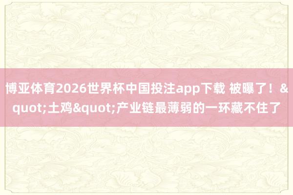 博亚体育2026世界杯中国投注app下载 被曝了!"土鸡"产业链最薄弱的一环藏不住了