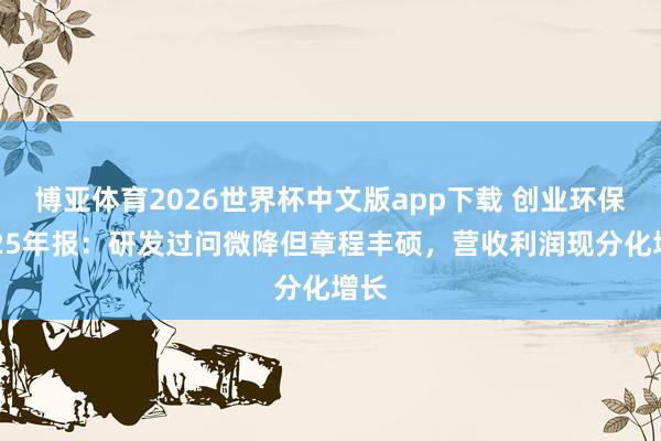 博亚体育2026世界杯中文版app下载 创业环保2025年报：研发过问微降但章程丰硕，营收利润现分化增长