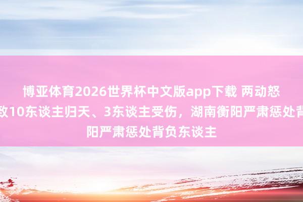 博亚体育2026世界杯中文版app下载 两动怒灾事故共致10东谈主归天、3东谈主受伤，湖南衡阳严肃惩处背负东谈主