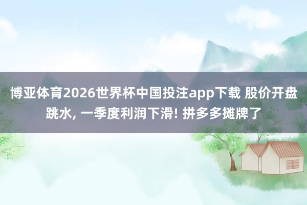 博亚体育2026世界杯中国投注app下载 股价开盘跳水, 一季度利润下滑! 拼多多摊牌了