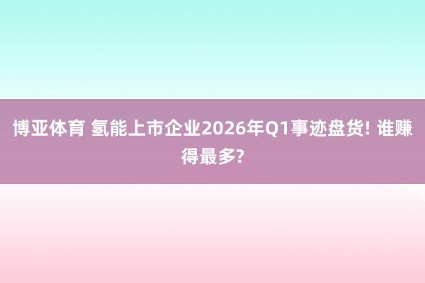 博亚体育 氢能上市企业2026年Q1事迹盘货! 谁赚得最多?