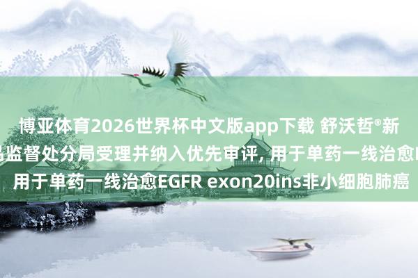 博亚体育2026世界杯中文版app下载 舒沃哲®新药上市苦求获国度药品监督处分局受理并纳入优先审评， 用于单药一线治愈EGFR exon20ins非小细胞肺癌