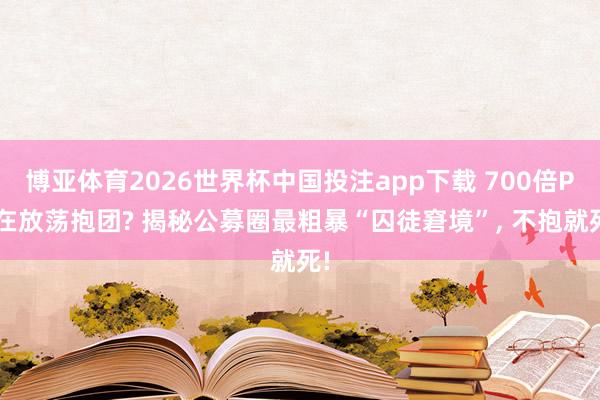 博亚体育2026世界杯中国投注app下载 700倍PE在放荡抱团? 揭秘公募圈最粗暴“囚徒窘境”， 不抱就死!
