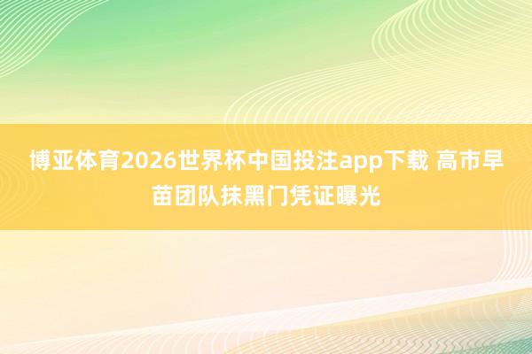 博亚体育2026世界杯中国投注app下载 高市早苗团队抹黑门凭证曝光
