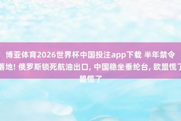 博亚体育2026世界杯中国投注app下载 半年禁令落地! 俄罗斯锁死航油出口， 中国稳坐垂纶台， 欧盟慌了