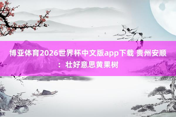 博亚体育2026世界杯中文版app下载 贵州安顺：壮好意思黄果树