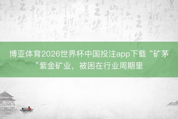 博亚体育2026世界杯中国投注app下载 “矿茅”紫金矿业，被困在行业周期里