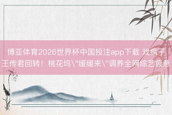 博亚体育2026世界杯中国投注app下载 戏疯子王传君回转！桃花坞