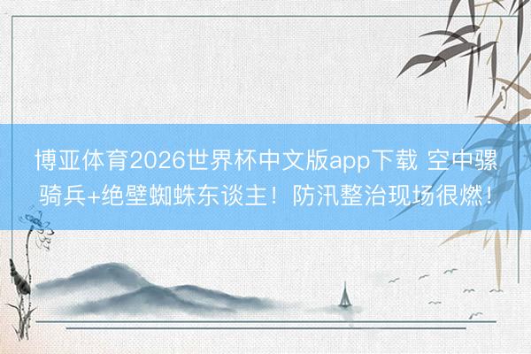 博亚体育2026世界杯中文版app下载 空中骡骑兵+绝壁蜘蛛东谈主!防汛整治现场很燃!