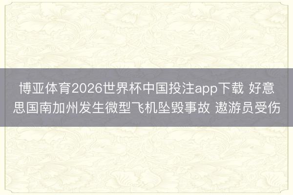 博亚体育2026世界杯中国投注app下载 好意思国南加州发生微型飞机坠毁事故 遨游员受伤