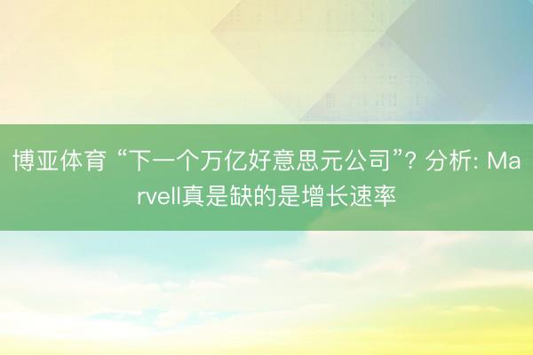 博亚体育 “下一个万亿好意思元公司”? 分析: Marvell真是缺的是增长速率