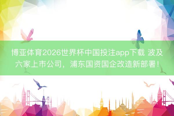 博亚体育2026世界杯中国投注app下载 波及六家上市公司,浦东国资国企改造新部署!